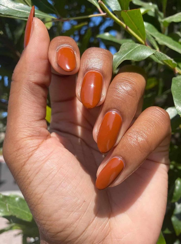 laranja queimado 