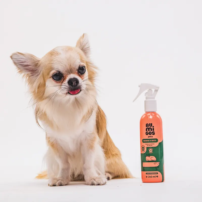 Banho a Seco Au.Migos Pets; ao lado, um cão sentado